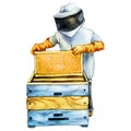 The beekeeper in the apiary takes out the honeycomb from the beehive. Hand drawn watercolor illustration isolated on