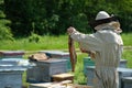 Beekeeper on apiary. Beekeeper is working with bees and beehives on the apiary.