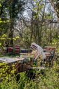 Beekeeper on apiary. Beekeeper is working with bees and beehives on the apiary