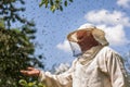 Beekeeper and bee swarm, apiary beehive honey