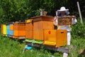 Beekeeper and beehives Royalty Free Stock Photo