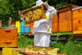 Beekeeper and beehives Royalty Free Stock Photo