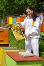 Beekeeper and beehives Royalty Free Stock Photo