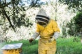 Beekeeper, bees flying close to the honeycomb Royalty Free Stock Photo