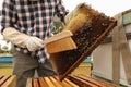 Beekeeper brushing bees from hive frame at apiary, closeup. Harvesting honey Royalty Free Stock Photo