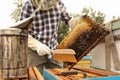 Beekeeper brushing bees from hive frame at apiary, closeup. Harvesting honey