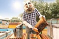 Beekeeper brushing bees from hive frame at apiary. Harvesting honey