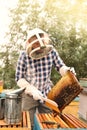 Beekeeper brushing bees from hive frame at apiary. Harvesting honey Royalty Free Stock Photo
