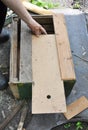 Beekeeper building wooden trap for wild bees or for swarming bees. Honey Bees Trap for Capture a Swarm and Install it in a Beehiv