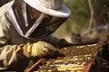 Beekeeper checking a beehive AI generated Royalty Free Stock Photo