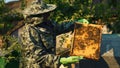 Beekeeper checking beehive in protective suit. Medium shot