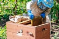 Beekeeper checking beehive to ensure health of the bee colony or collecting honey Royalty Free Stock Photo