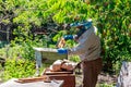 Beekeeper checking a beehive to ensure health of the bee colony or collecting honey