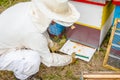 Beekeeper is checking collected colorful bee pollen on white plastic casserole