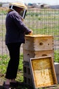 Beekeeper