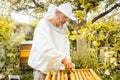 Beekeeper checking his bees Royalty Free Stock Photo