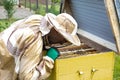 A beekeeper checks the bees in the hive