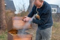 Beekeeper checks his bee colony using smoke Royalty Free Stock Photo