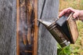 Beekeeper works with a hive of a traditional shape - bee gum - using a smoker Royalty Free Stock Photo