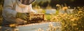 A beekeeper checks the hives at the apiary. Selective focus.