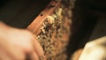 Beekeeper checks how the bees prepare honey work in beehive wooden racks waxen honeycombs Pulls out