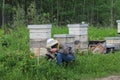 Beekeeper Clearing Grass from Hive