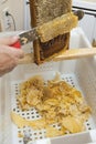 Beekeeper collects the honey. Close-up Beekeeper uncapping honeycomb.