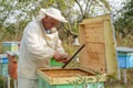 Beekeeper collects propolis. Apiarist is working in his apiary.