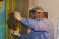 The beekeeper collects a swarm of bees. Wild bees settled in the