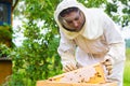Beekeeper controlling beeyard and bees Royalty Free Stock Photo