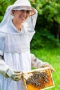 Beekeeper controlling beeyard and bees Royalty Free Stock Photo