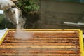 Beekeeper controlling beeyard and bees