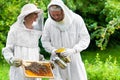 Beekeeper controlling beeyard and bees Royalty Free Stock Photo
