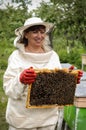 Beekeeper controlling comb frame