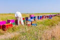 Apiarist, beekeeper is working in apiary, row of beehives, bee farm