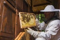 Beekeeper doing a hive inspection, checking bees and comb Royalty Free Stock Photo