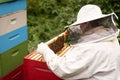 A beekeeper works with a hive of honey bees Royalty Free Stock Photo