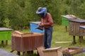 Beekeeper fumigating bees. An apiary