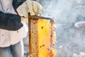 Beekeeper, hands and person with honeycomb frame at farm outdoors. Beekeeping, smoke and owner, employee or worker