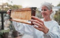 Beekeeper, happy and honey production with frame, honeycomb or harvest of food, health or nutrition. Woman, bee farmer Royalty Free Stock Photo