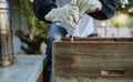 Beekeeper, hive tool and opening box, crate and storage to remove frame for honeycomb production process. Bees, insects Royalty Free Stock Photo