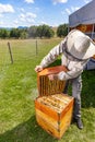 Beekeeper holding the beehive frame