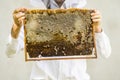 Beekeeper holding frame Background texture pattern section wax Bees work honeycomb from bee hive filled golden honey Concept Royalty Free Stock Photo