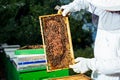 Beekeeper holding frame of honeycomb with bees. Royalty Free Stock Photo