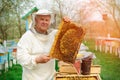 Beekeeper holding a honeycomb full of bees. Beekeeper in protective workwear inspecting honeycomb frame at apiary. Works