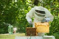 Beekeeper holding a honeycomb full of bees