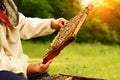 Beekeeper holding a honeycomb full of bees. Beekeeper in protective workwear inspecting honeycomb frame at apiary Royalty Free Stock Photo