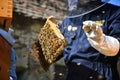 Beekeeper holding a wooden frame with bees. Beekeeping concept.