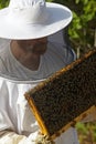 Beekeeper holds a honeycomb with bees in his hands Royalty Free Stock Photo