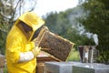 Beekeeper With Honeycomb